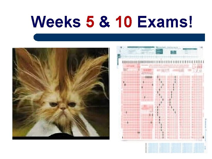 Weeks 5 & 10 Exams! 