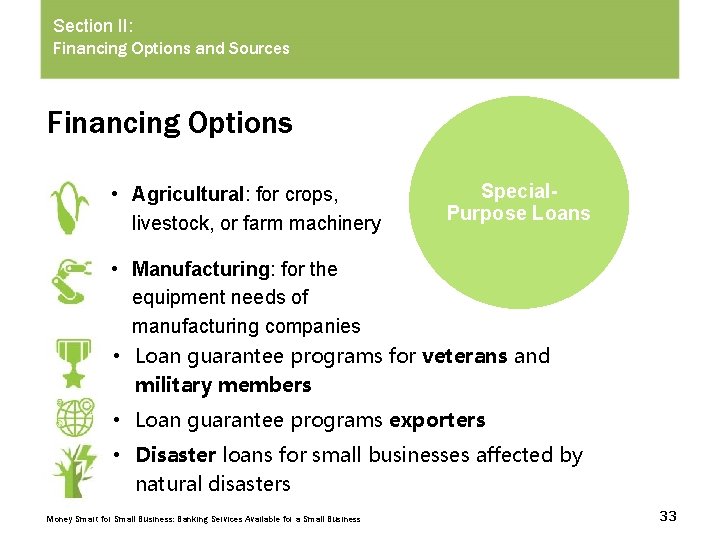 Section II: Financing Options and Sources Financing Options • Agricultural: for crops, livestock, or