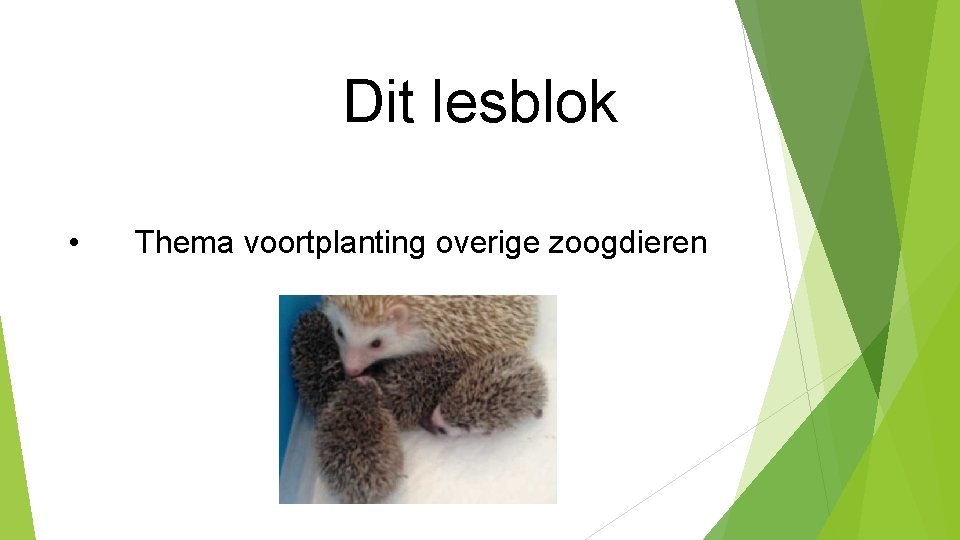 Dit lesblok • Thema voortplanting overige zoogdieren Dit lesblok • Thema voortplanting overige zoogdieren