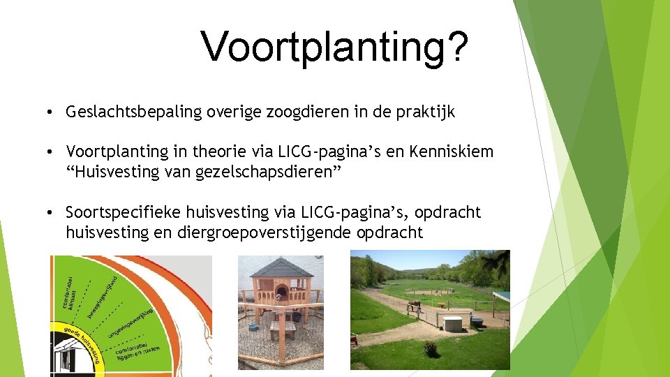 Voortplanting? • Geslachtsbepaling overige zoogdieren in de praktijk • Voortplanting in theorie via LICG-pagina’s