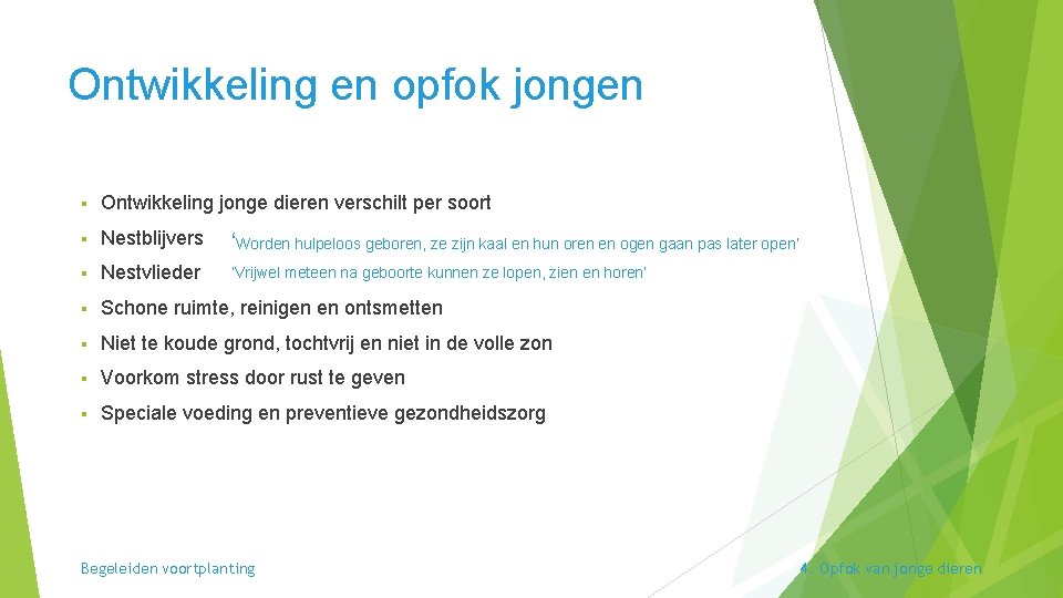 Ontwikkeling en opfok jongen § Ontwikkeling jonge dieren verschilt per soort § Nestblijvers ‘Worden Ontwikkeling en opfok jongen § Ontwikkeling jonge dieren verschilt per soort § Nestblijvers ‘Worden
