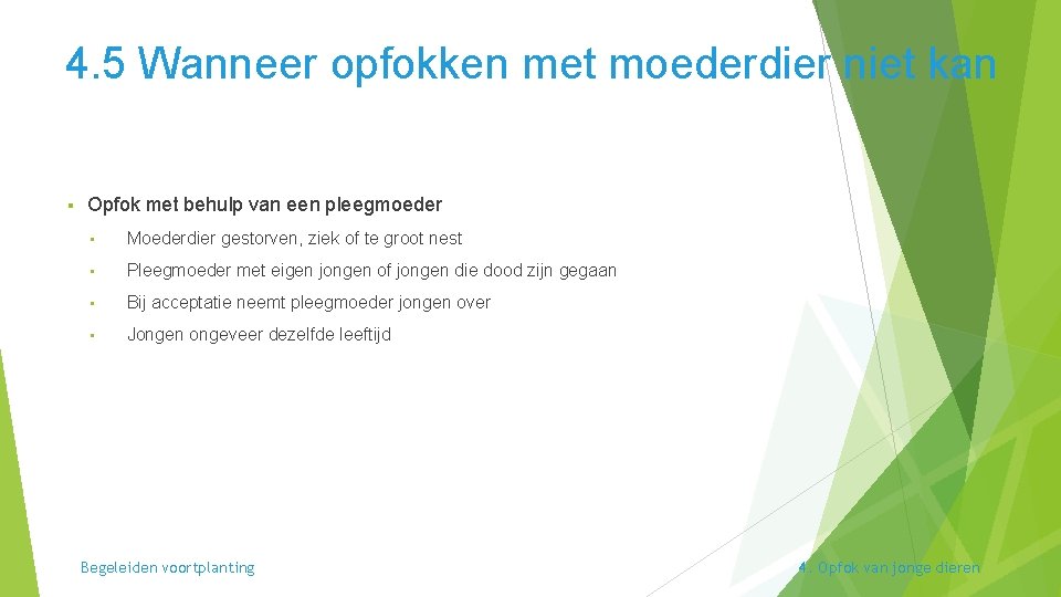 4. 5 Wanneer opfokken met moederdier niet kan § Opfok met behulp van een