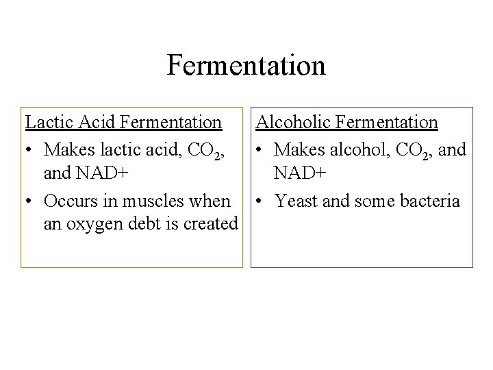 Fermentation Lactic Acid Fermentation Alcoholic Fermentation • Makes lactic acid, CO 2, • Makes