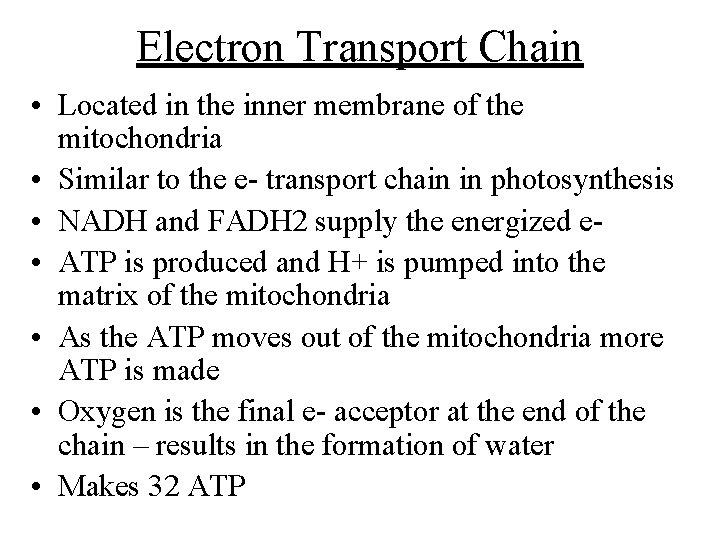 Electron Transport Chain • Located in the inner membrane of the mitochondria • Similar