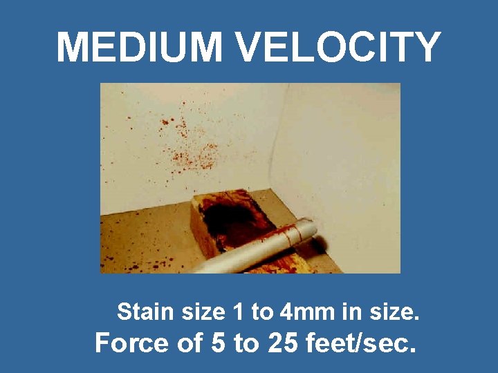 MEDIUM VELOCITY Stain size 1 to 4 mm in size. Force of 5 to