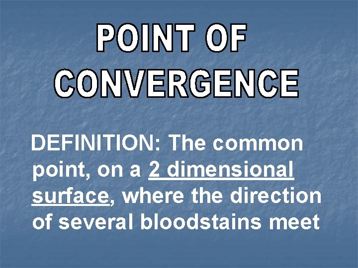 DEFINITION: The common point, on a 2 dimensional surface, where the direction of several