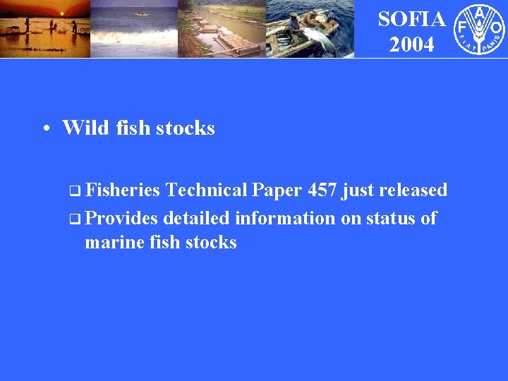 SOFIA 2004 • Wild fish stocks q Fisheries Technical Paper 457 just released q