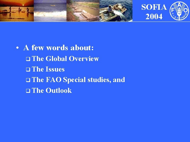 SOFIA 2004 • A few words about: q The Global Overview q The Issues