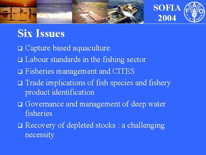 SOFIA 2004 Six Issues Capture based aquaculture q Labour standards in the fishing sector