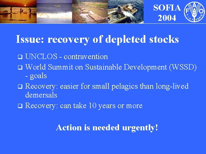 SOFIA 2004 Issue: recovery of depleted stocks UNCLOS - contravention q World Summit on