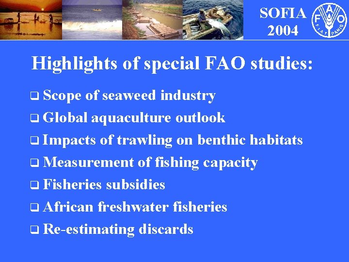 SOFIA 2004 Highlights of special FAO studies: q Scope of seaweed industry q Global