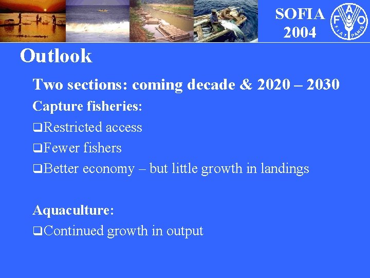 SOFIA 2004 Outlook Two sections: coming decade & 2020 – 2030 Capture fisheries: q
