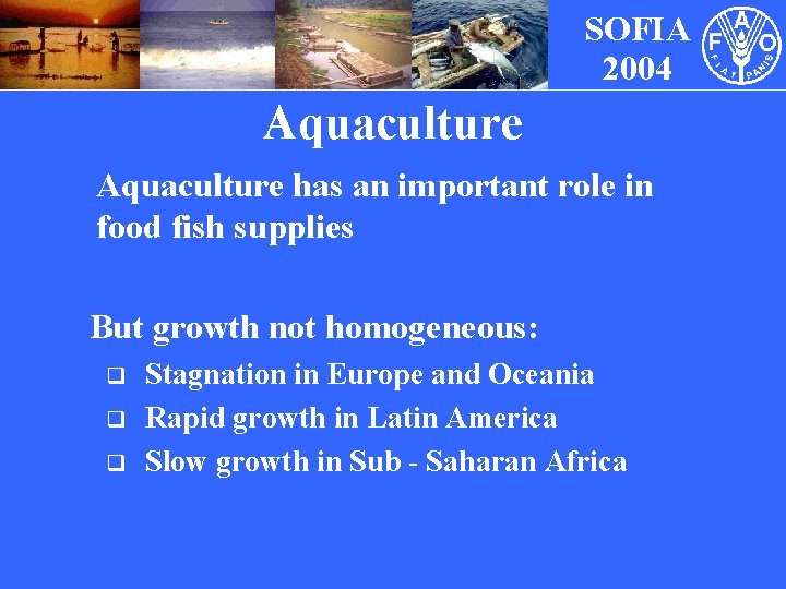 SOFIA 2004 Aquaculture has an important role in food fish supplies But growth not