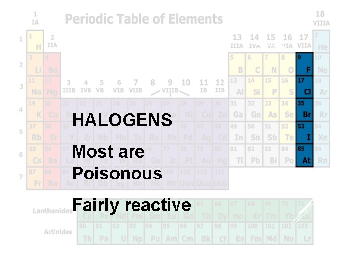 Halogens HALOGENS Most are Poisonous Fairly reactive 