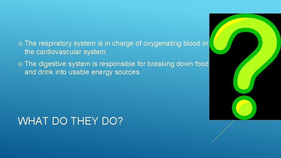  The respiratory system is in charge of oxygenating blood in the cardiovascular system.