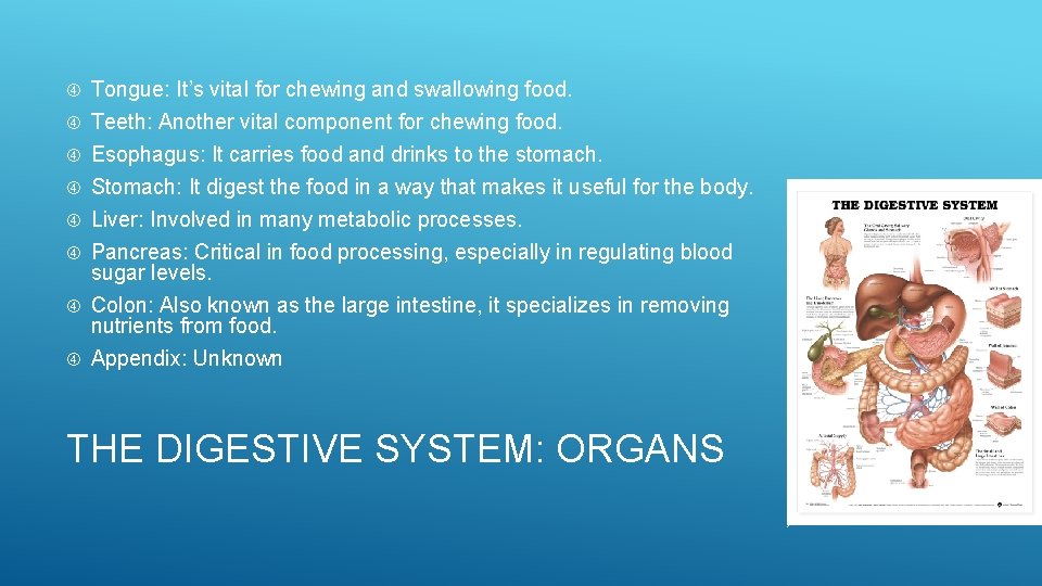 Tongue: It’s vital for chewing and swallowing food. Teeth: Another vital component for chewing