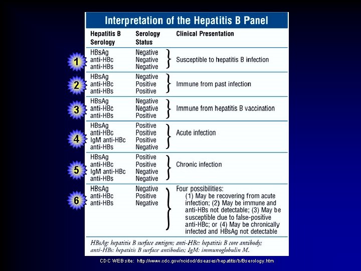 1 2 3 4 5 6 CDC WEB site: http: //www. cdc. gov/ncidod/diseases/hepatitis/b/Bserology. htm