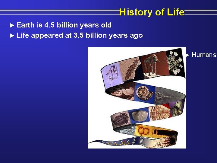 History of Life ► Earth is 4. 5 billion years old ► Life appeared