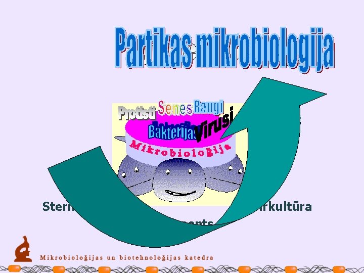 Sterilitāte Tīrkultūra Eksperiments 