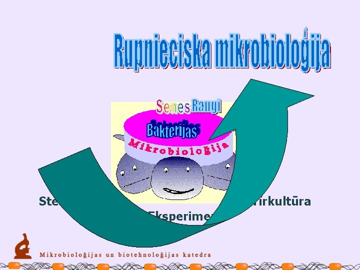 Sterilitāte Tīrkultūra Eksperiments 