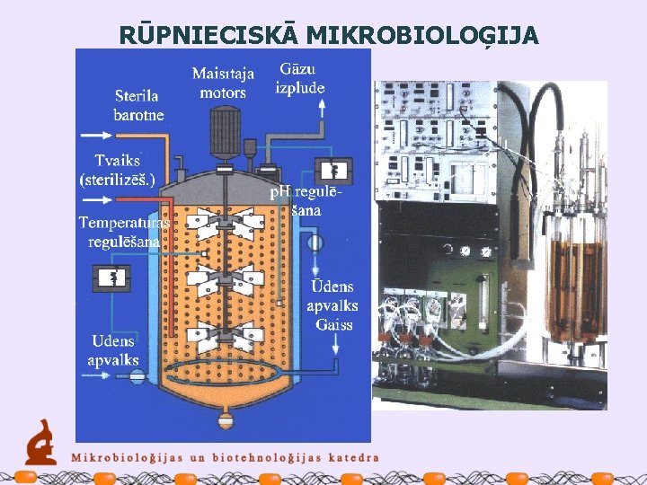 RŪPNIECISKĀ MIKROBIOLOĢIJA 