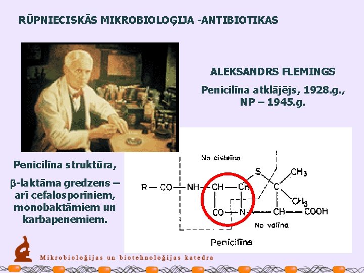 RŪPNIECISKĀS MIKROBIOLOĢIJA -ANTIBIOTIKAS ALEKSANDRS FLEMINGS Penicilīna atklājējs, 1928. g. , NP – 1945. g.