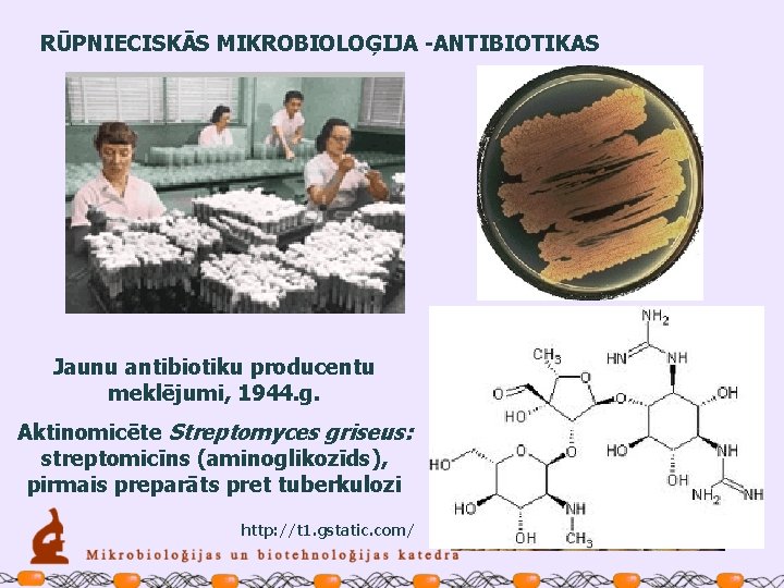 RŪPNIECISKĀS MIKROBIOLOĢIJA -ANTIBIOTIKAS Jaunu antibiotiku producentu meklējumi, 1944. g. Aktinomicēte Streptomyces griseus: streptomicīns (aminoglikozīds),