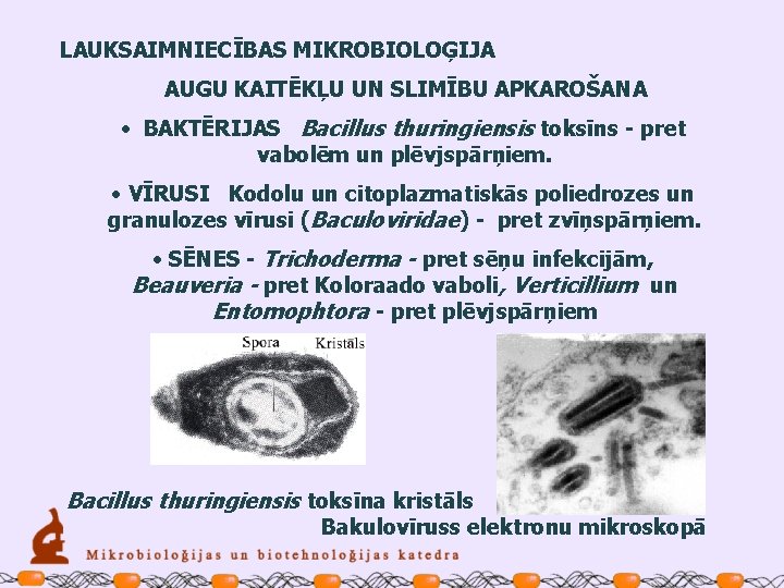 LAUKSAIMNIECĪBAS MIKROBIOLOĢIJA AUGU KAITĒKĻU UN SLIMĪBU APKAROŠANA • BAKTĒRIJAS Bacillus thuringiensis toksīns - pret