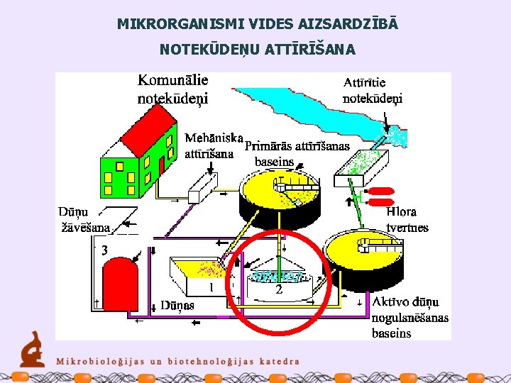 MIKRORGANISMI VIDES AIZSARDZĪBĀ NOTEKŪDEŅU ATTĪRĪŠANA 