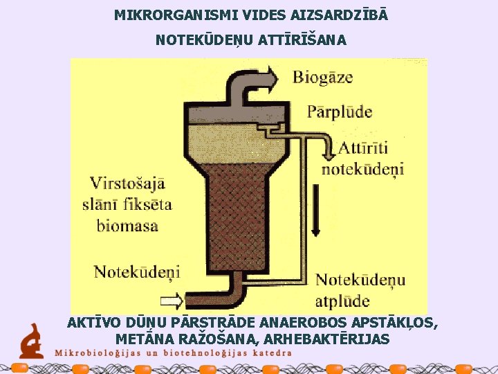 MIKRORGANISMI VIDES AIZSARDZĪBĀ NOTEKŪDEŅU ATTĪRĪŠANA AKTĪVO DŪŅU PĀRSTRĀDE ANAEROBOS APSTĀKĻOS, METĀNA RAŽOŠANA, ARHEBAKTĒRIJAS 