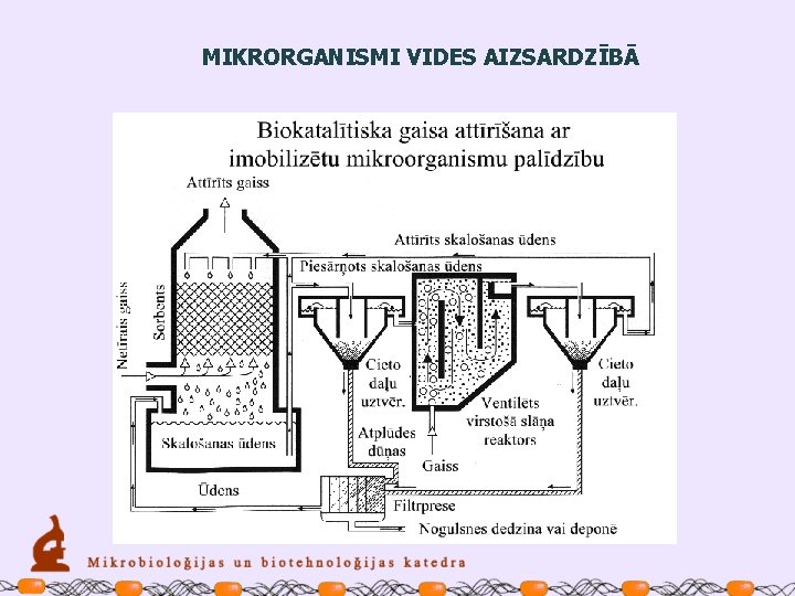 MIKRORGANISMI VIDES AIZSARDZĪBĀ 