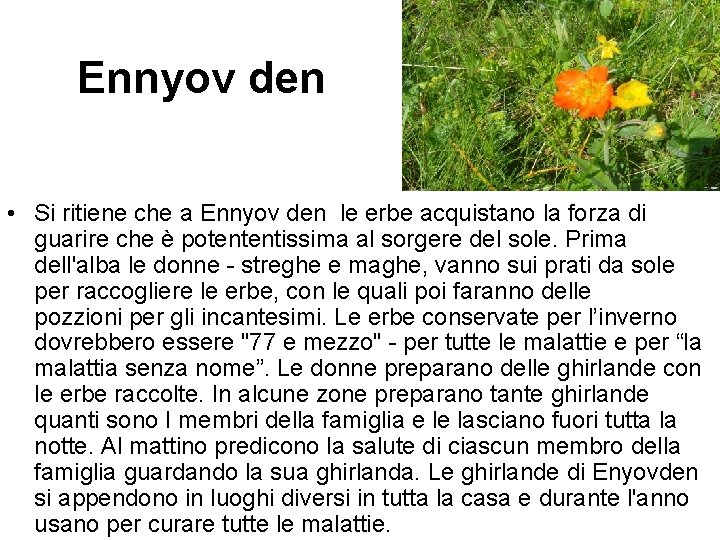 Ennyov den • Si ritiene che a Ennyov den le erbe acquistano la forza