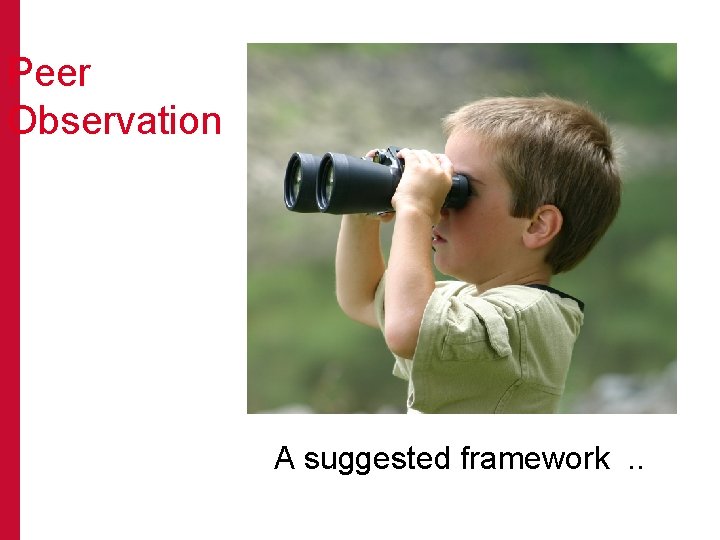 Peer Observation A suggested framework. . 