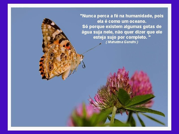"Nunca perca a fé na humanidade, pois ela é como um oceano. Só porque
