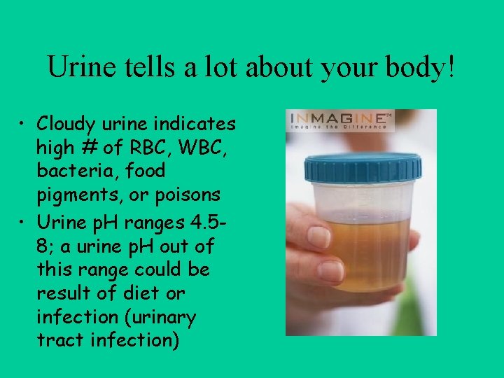 Urine tells a lot about your body! • Cloudy urine indicates high # of
