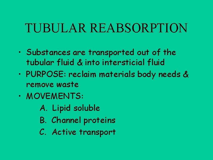 URINE FORMATION 2 Reabsorption 1 Filtration 3 Secretion