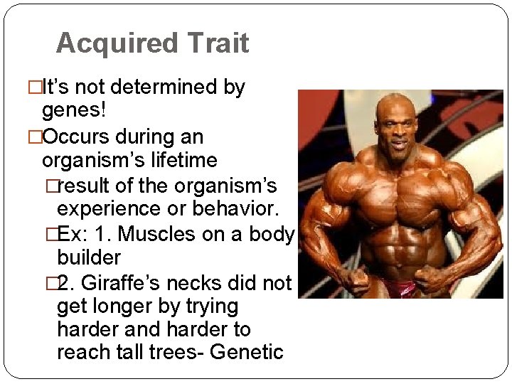 Acquired Trait �It’s not determined by genes! �Occurs during an organism’s lifetime �result of