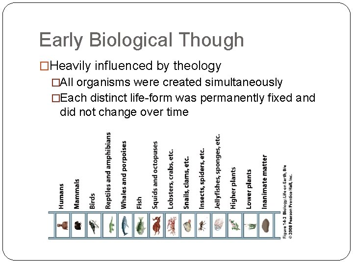 Early Biological Though �Heavily influenced by theology �All organisms were created simultaneously �Each distinct