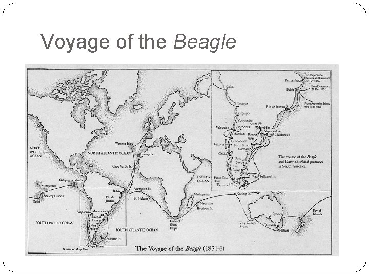 Voyage of the Beagle 