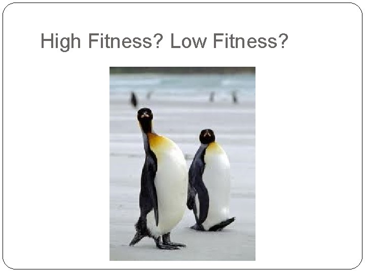 High Fitness? Low Fitness? 