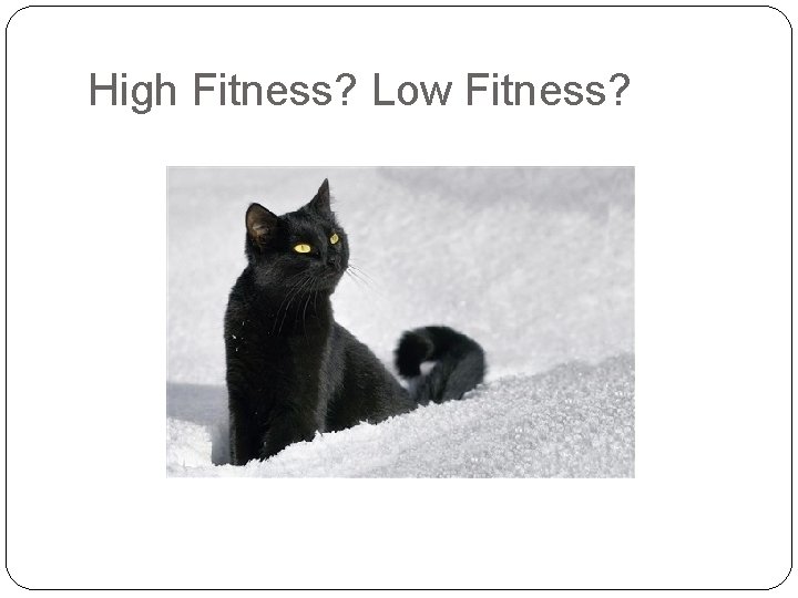 High Fitness? Low Fitness? 