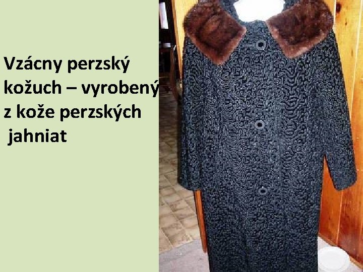 Vzácny perzský kožuch – vyrobený z kože perzských jahniat 