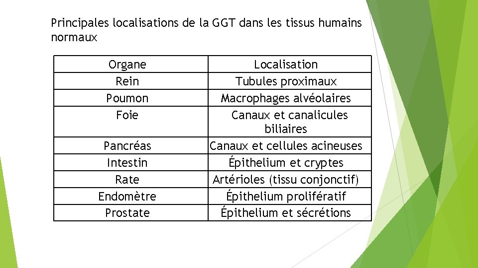 Principales localisations de la GGT dans les tissus humains normaux Organe Rein Poumon Foie