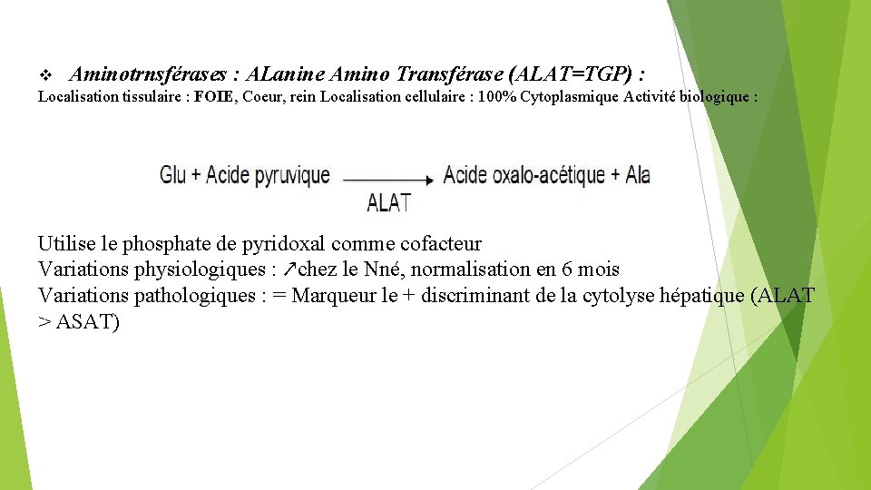 Aminotrnsférases : ALanine Amino Transférase (ALAT=TGP) : Localisation tissulaire : FOIE, Coeur, rein