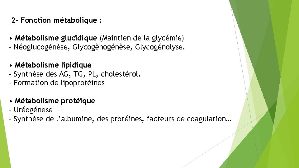 2 - Fonction métabolique : • Métabolisme glucidique (Maintien de la glycémie) - Néoglucogénèse,