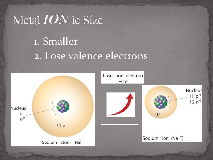Metal ION ic Size 1. Smaller 2. Lose valence electrons 