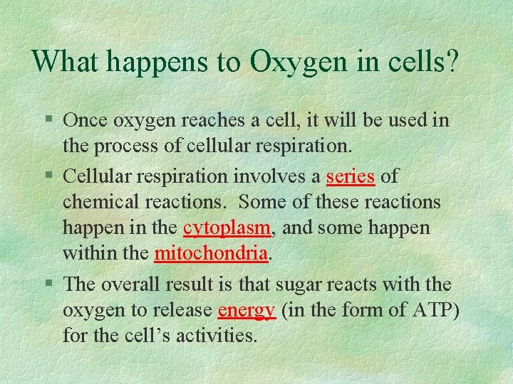 What happens to Oxygen in cells? § Once oxygen reaches a cell, it will