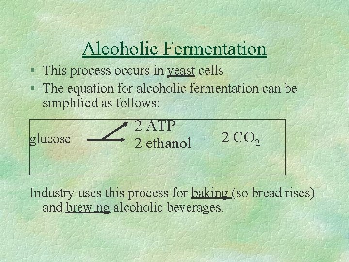 Alcoholic Fermentation § This process occurs in yeast cells § The equation for alcoholic