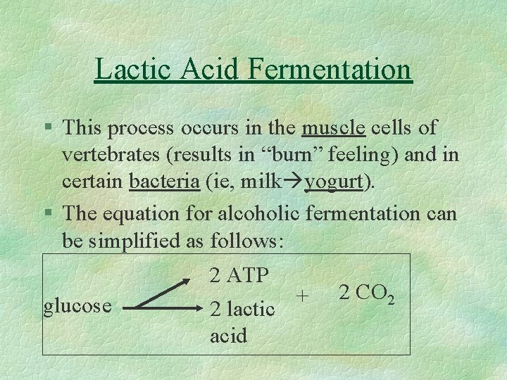 Lactic Acid Fermentation § This process occurs in the muscle cells of vertebrates (results