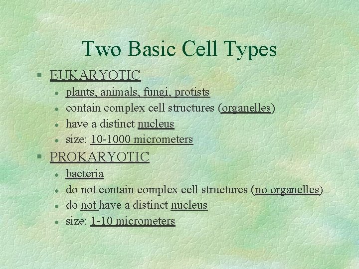 Two Basic Cell Types § EUKARYOTIC l l plants, animals, fungi, protists contain complex